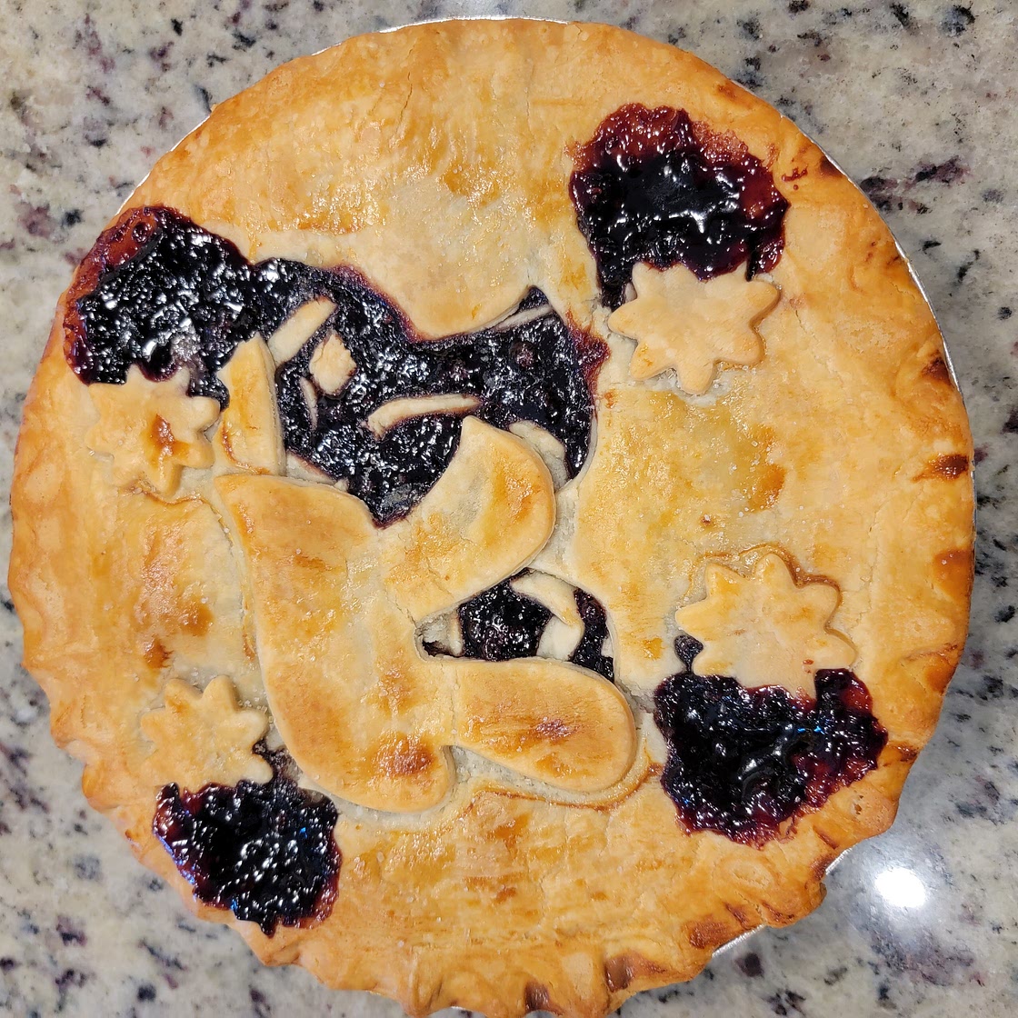 Northwest Oregon "Style" Marionberry Pie🥧