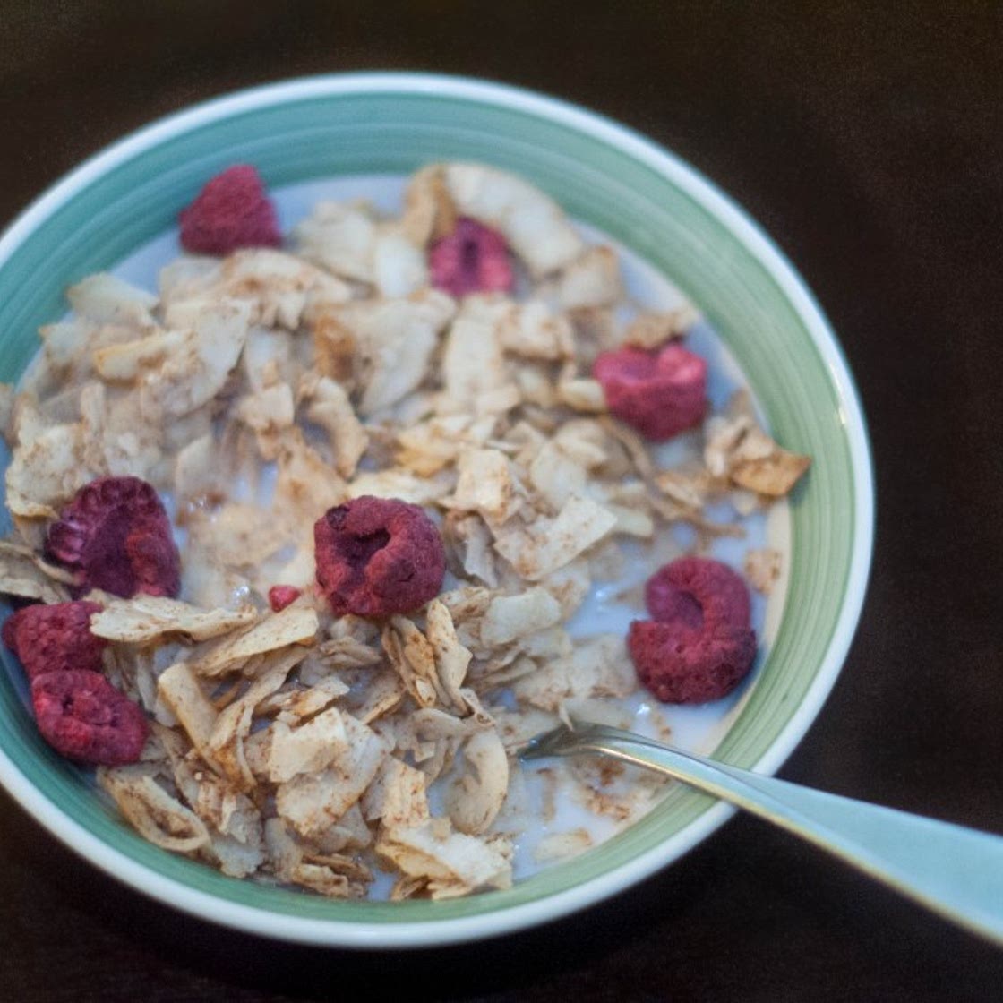 Cinnamon Coconut Crisp Cereal (AIP) - AIP Sisterhood