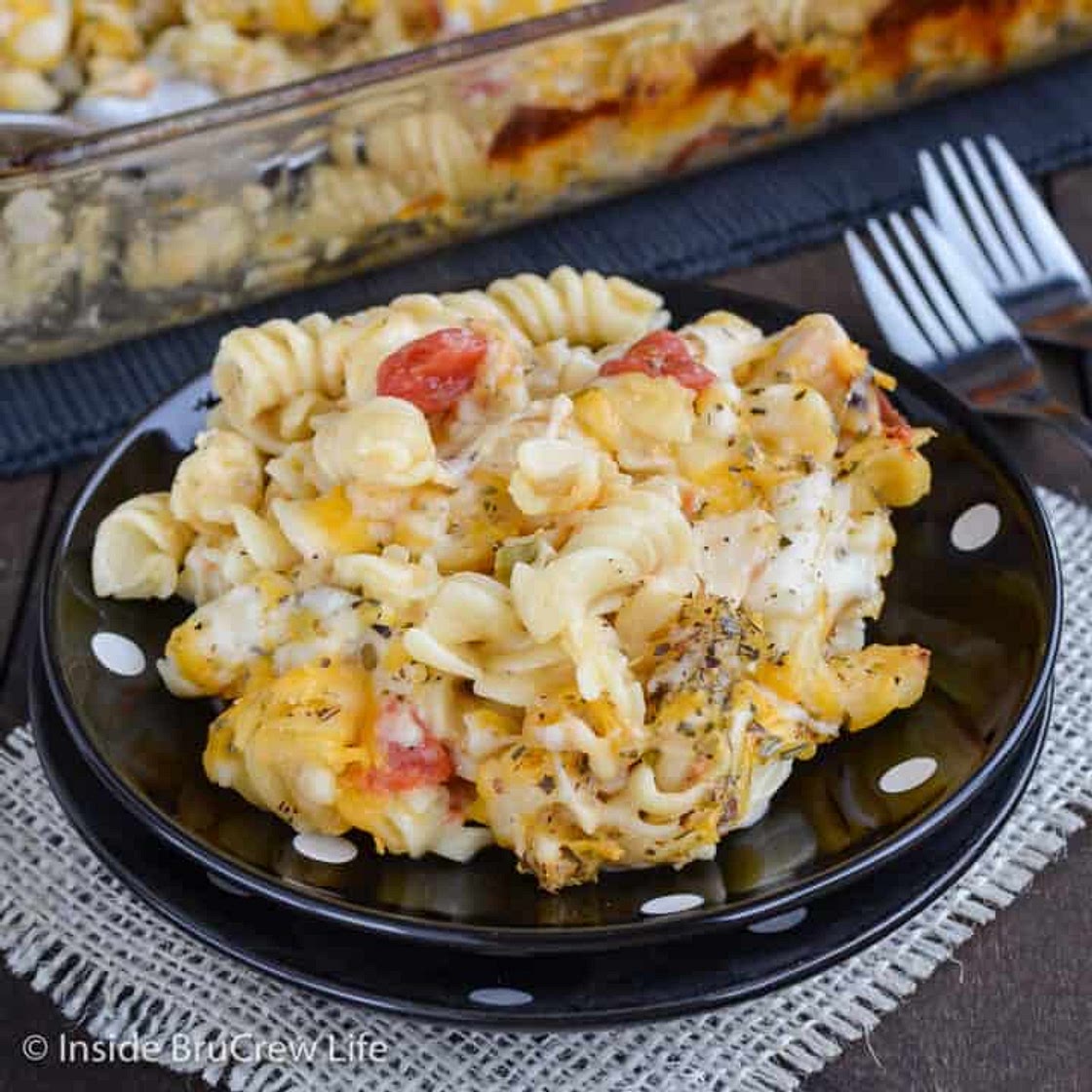 Chicken Pasta Bake Recipe