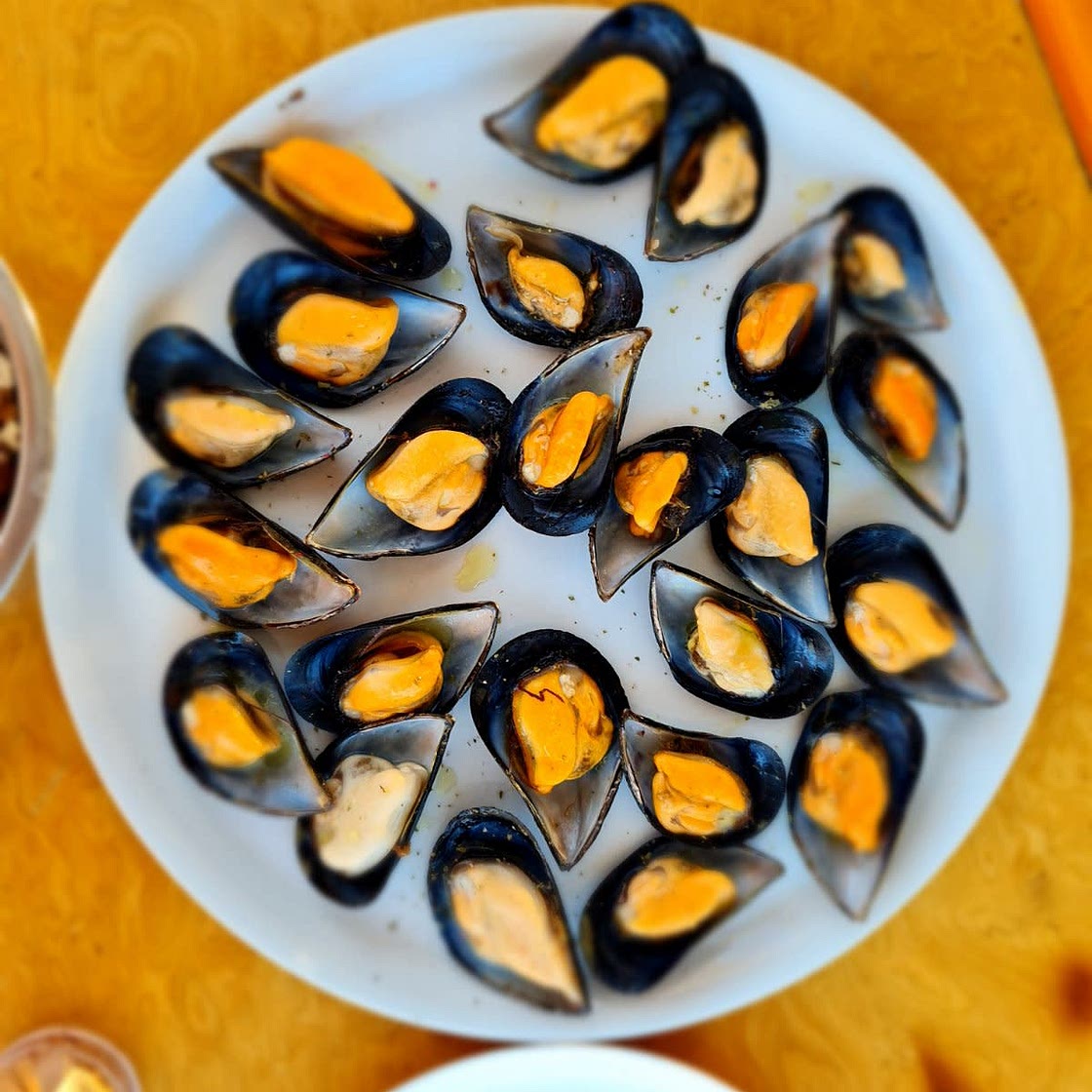 Montenegrin fresh mussels