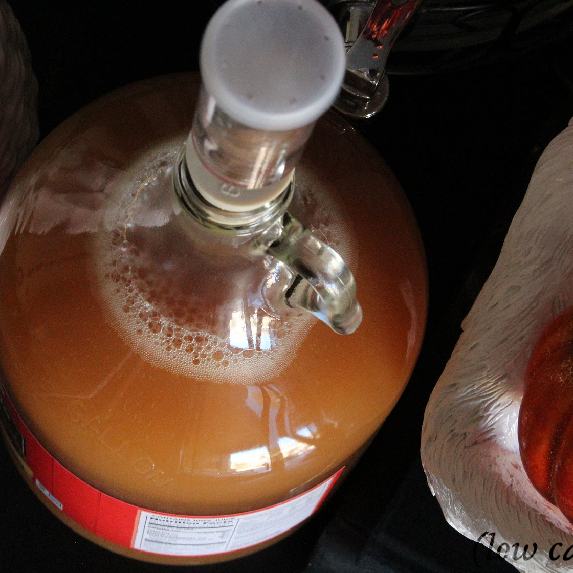 Keto Hard Apple Cider