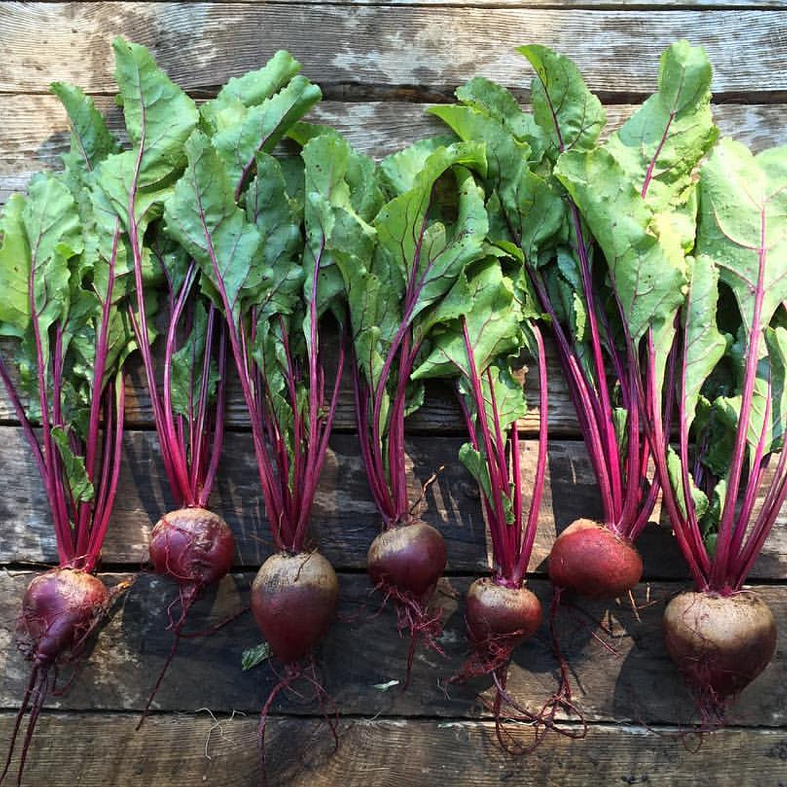 Beet and Radish Pickles
