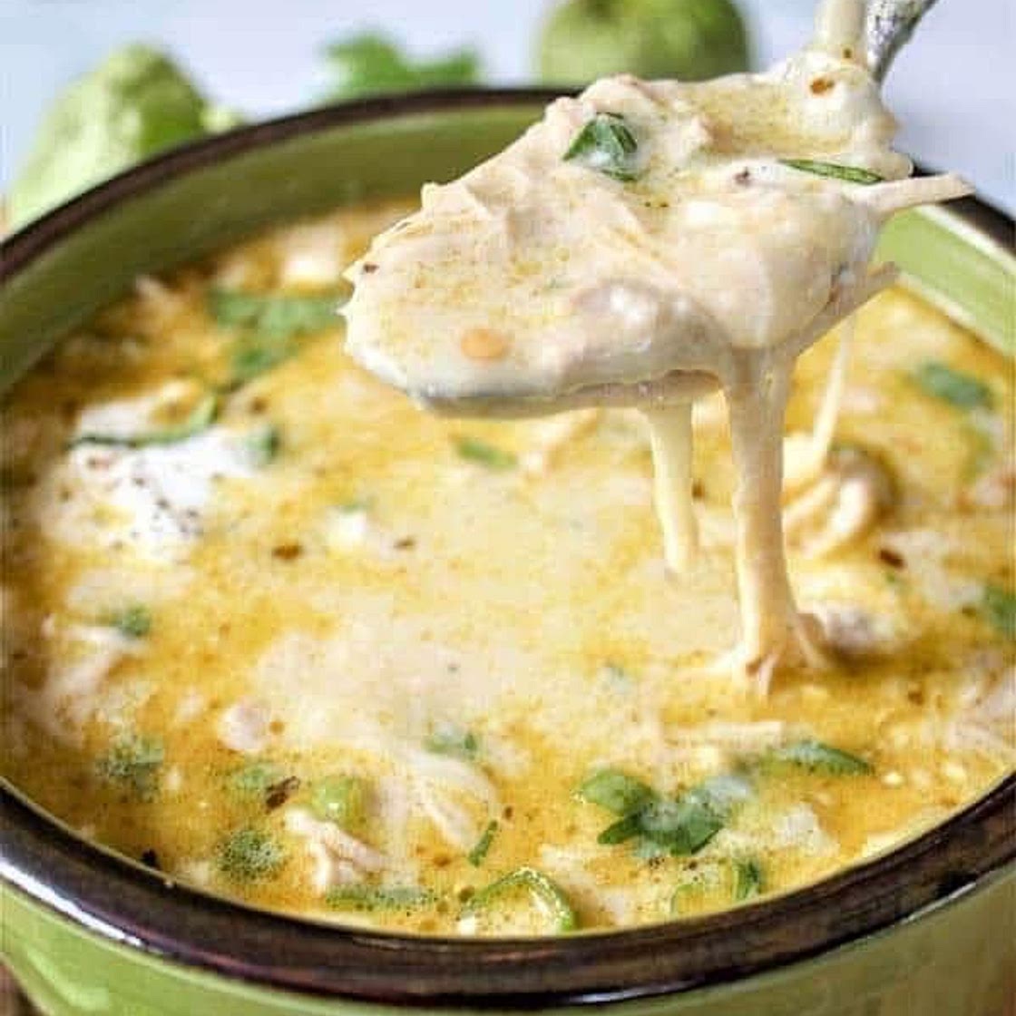 Crock Pot Green Enchilada Chicken Soup 