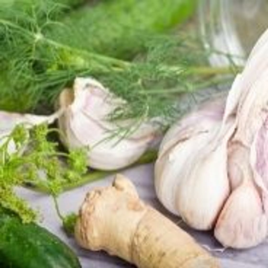 Pickled Fennel Recipe