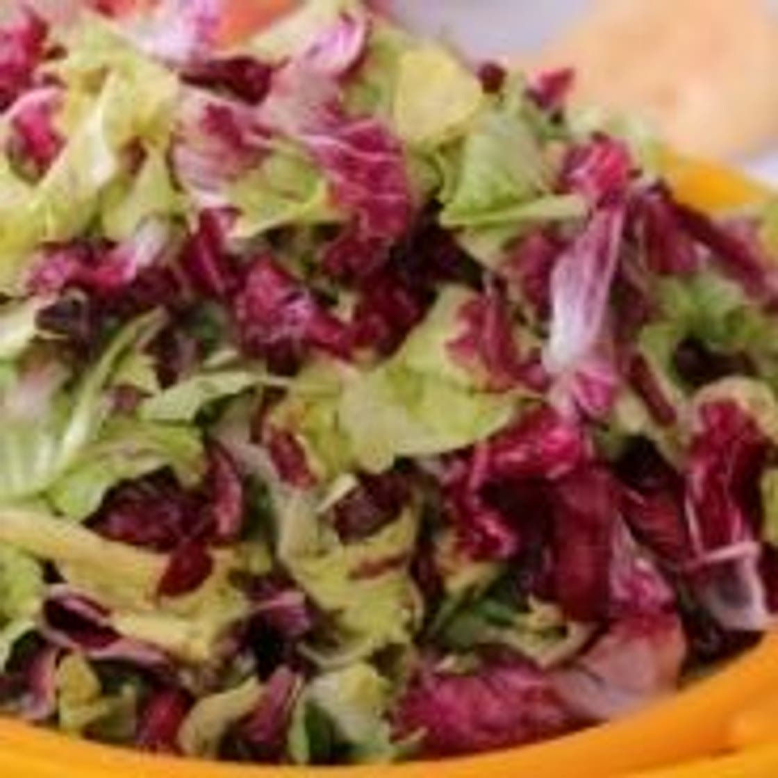 Chicory Salad Recipe