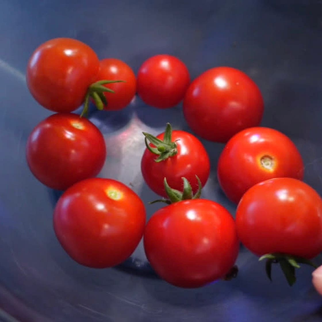 Quick Tomato Salad