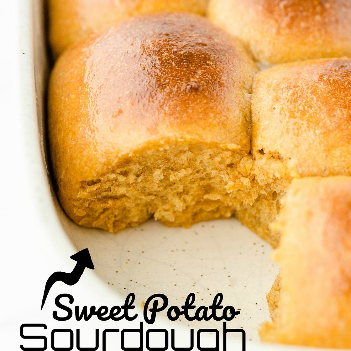 Sweet Potato Sourdough Rolls
