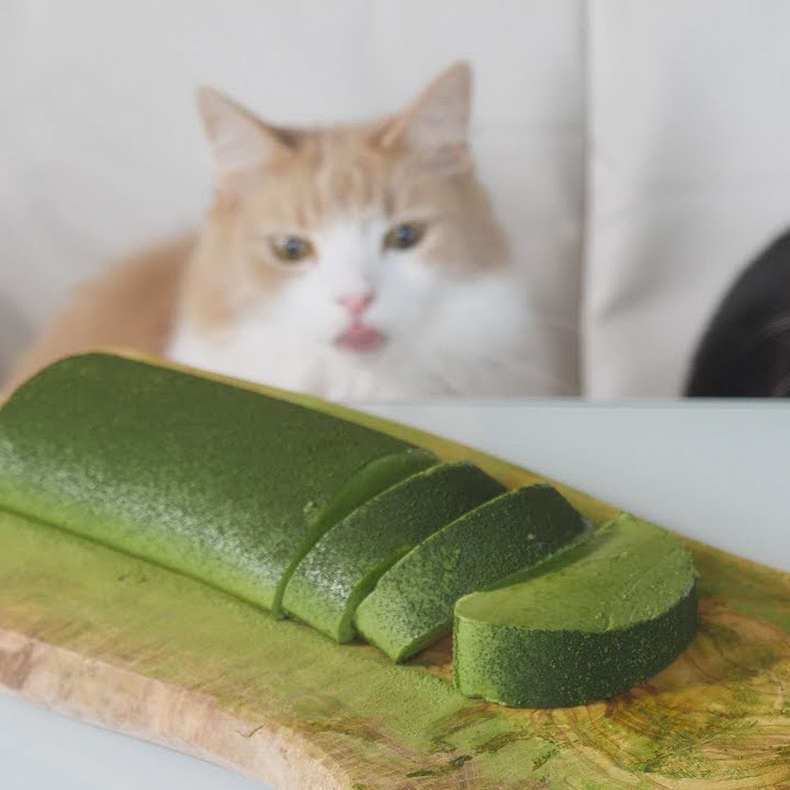Jiggly Mousse Cake (Japanese Green Tea)