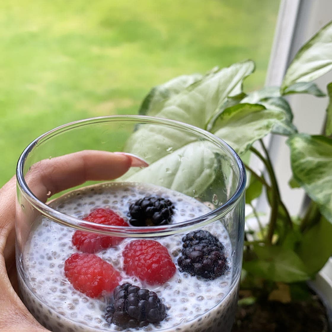 Chia Seed Pudding