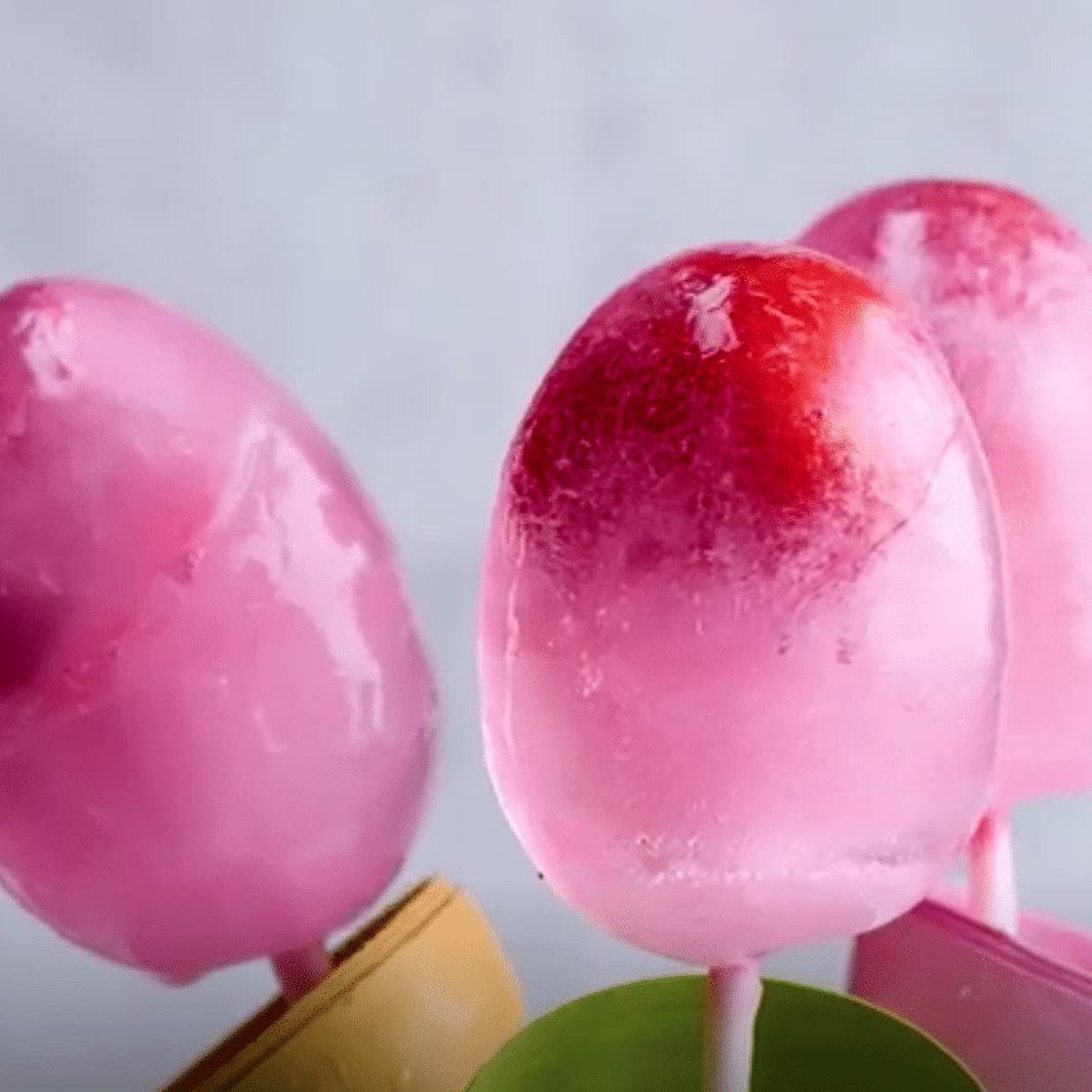Tulip Pops
