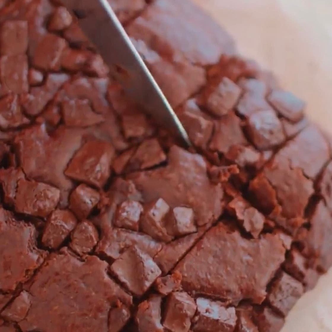 Chocolate Chip Brownie