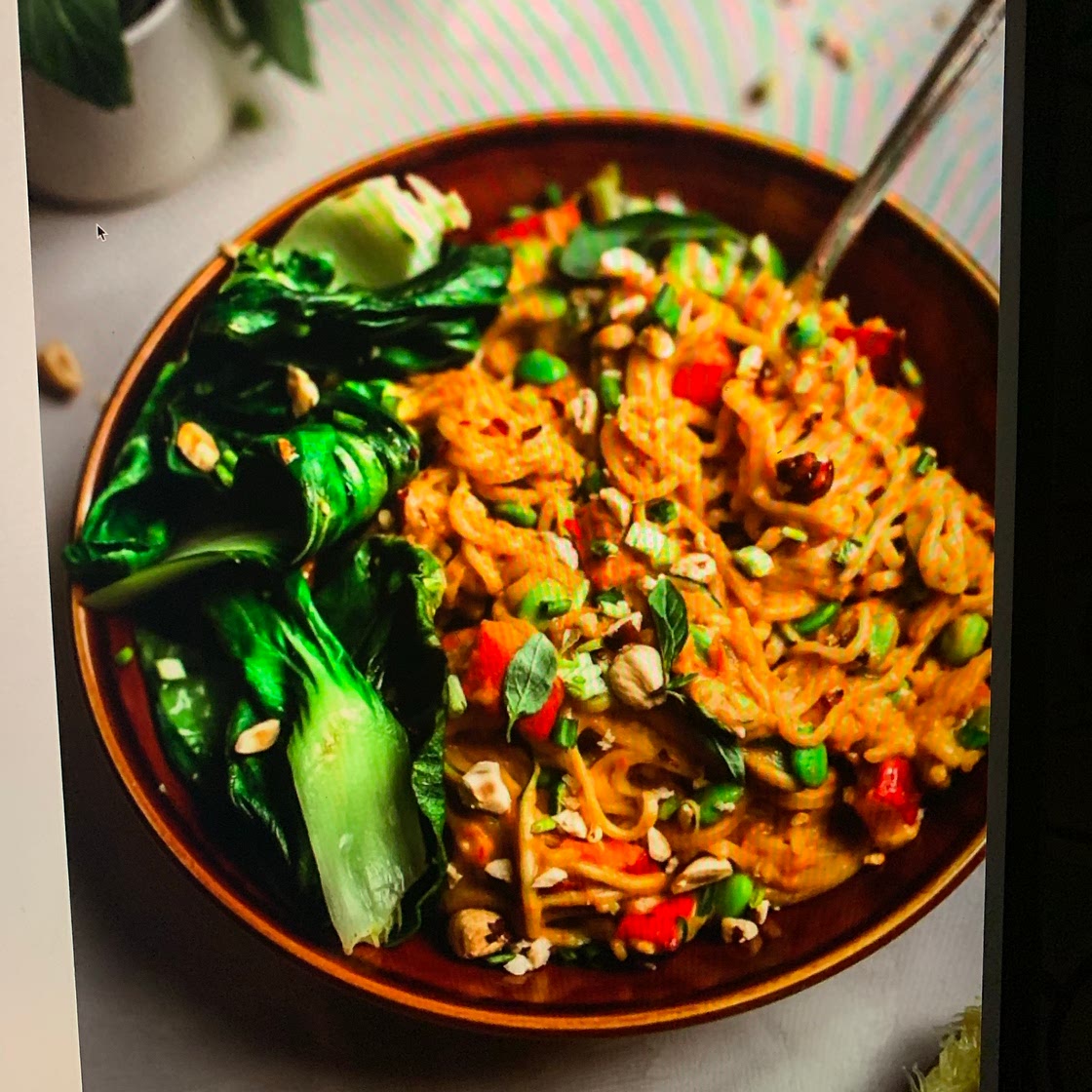 thai peanut satay noodles 