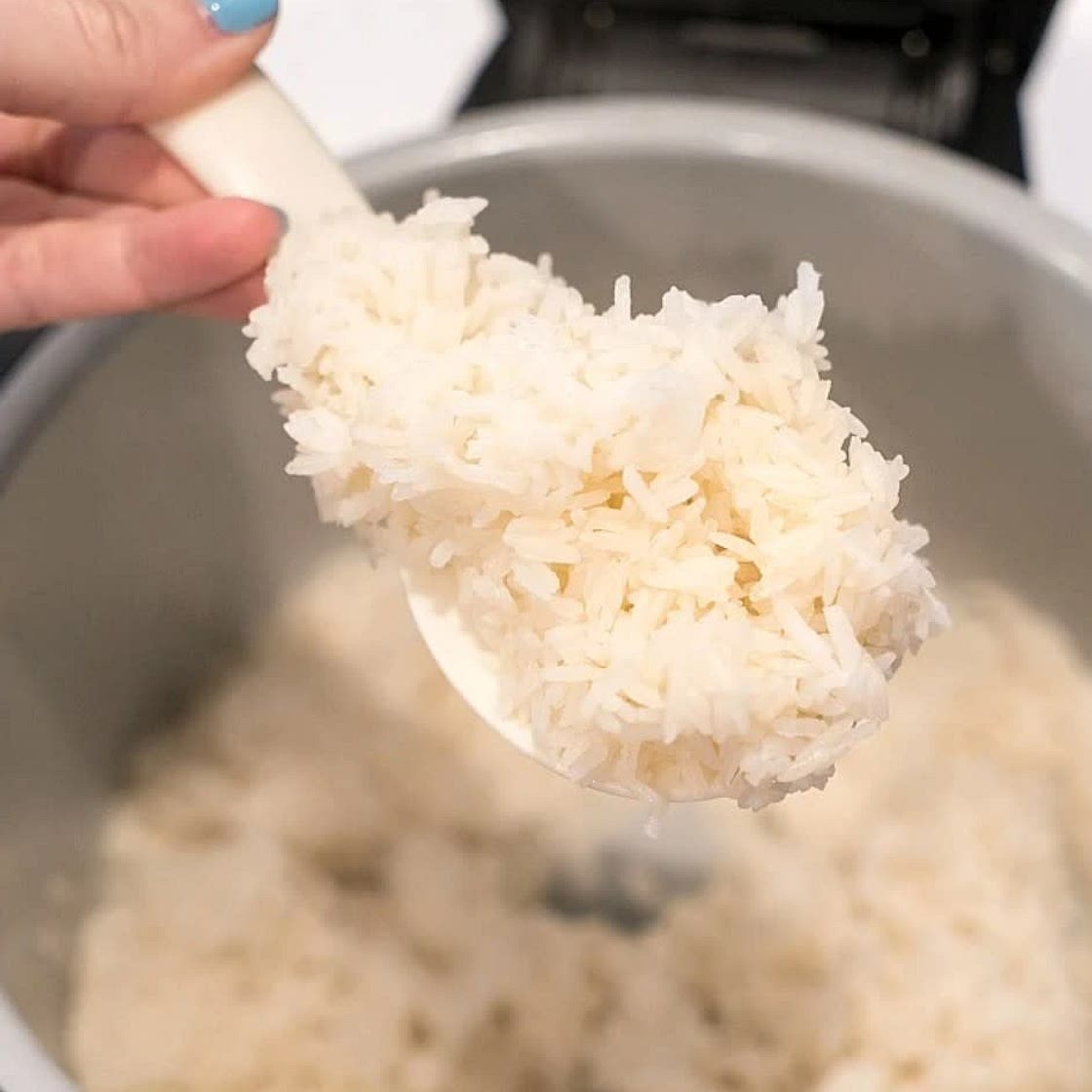 Rice in Ninja Foodi