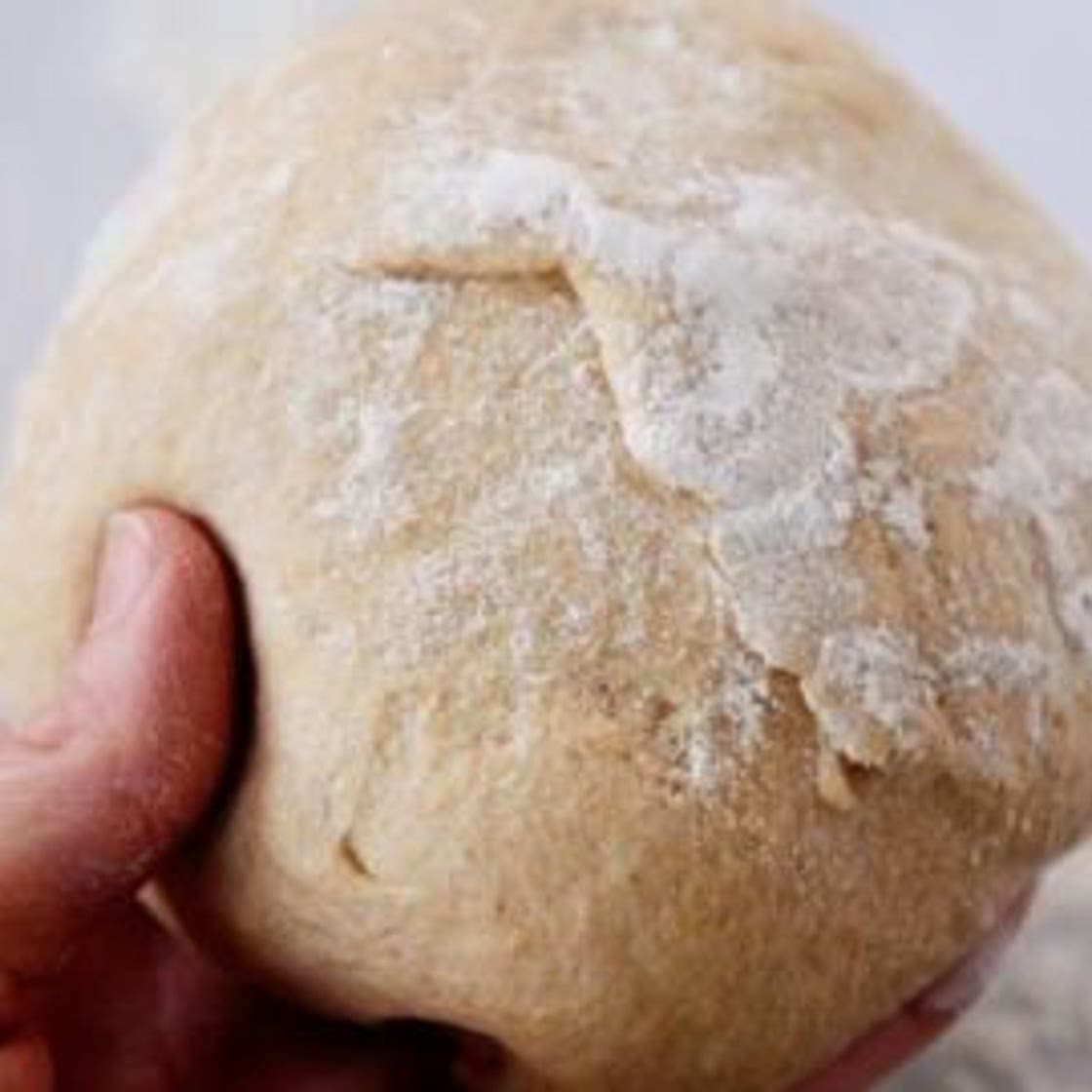 Overnight Whole Wheat Pizza Dough