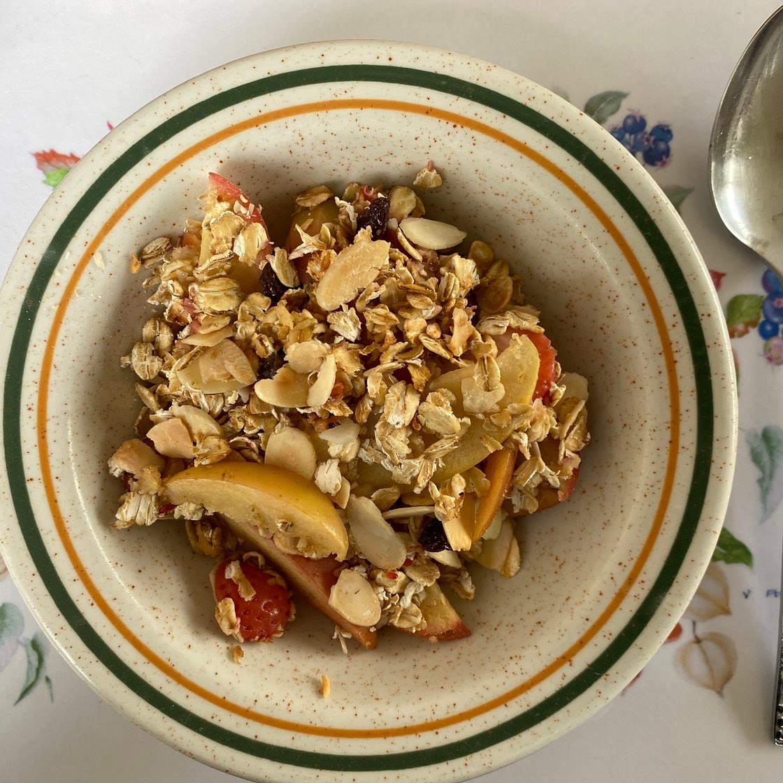 Apple and Strawberry Oat Pie