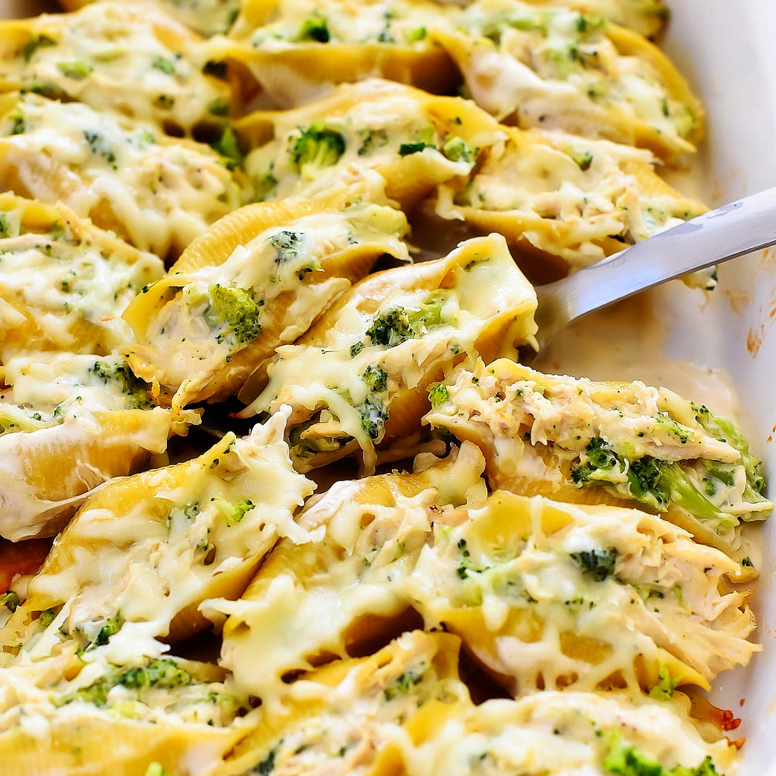 Chicken Broccoli Alfredo Stuffed Shells