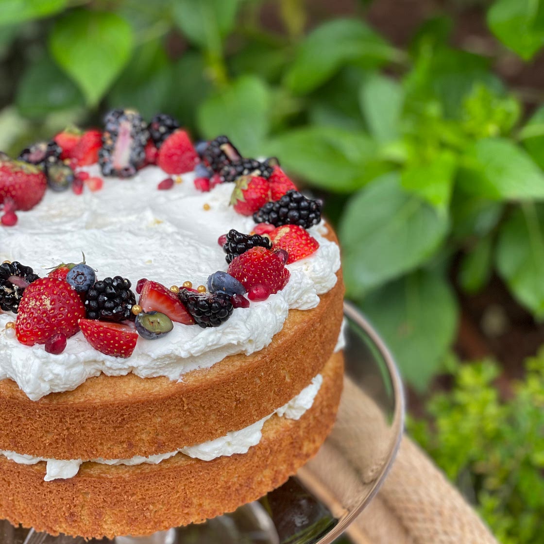 Olive Oil Cake
