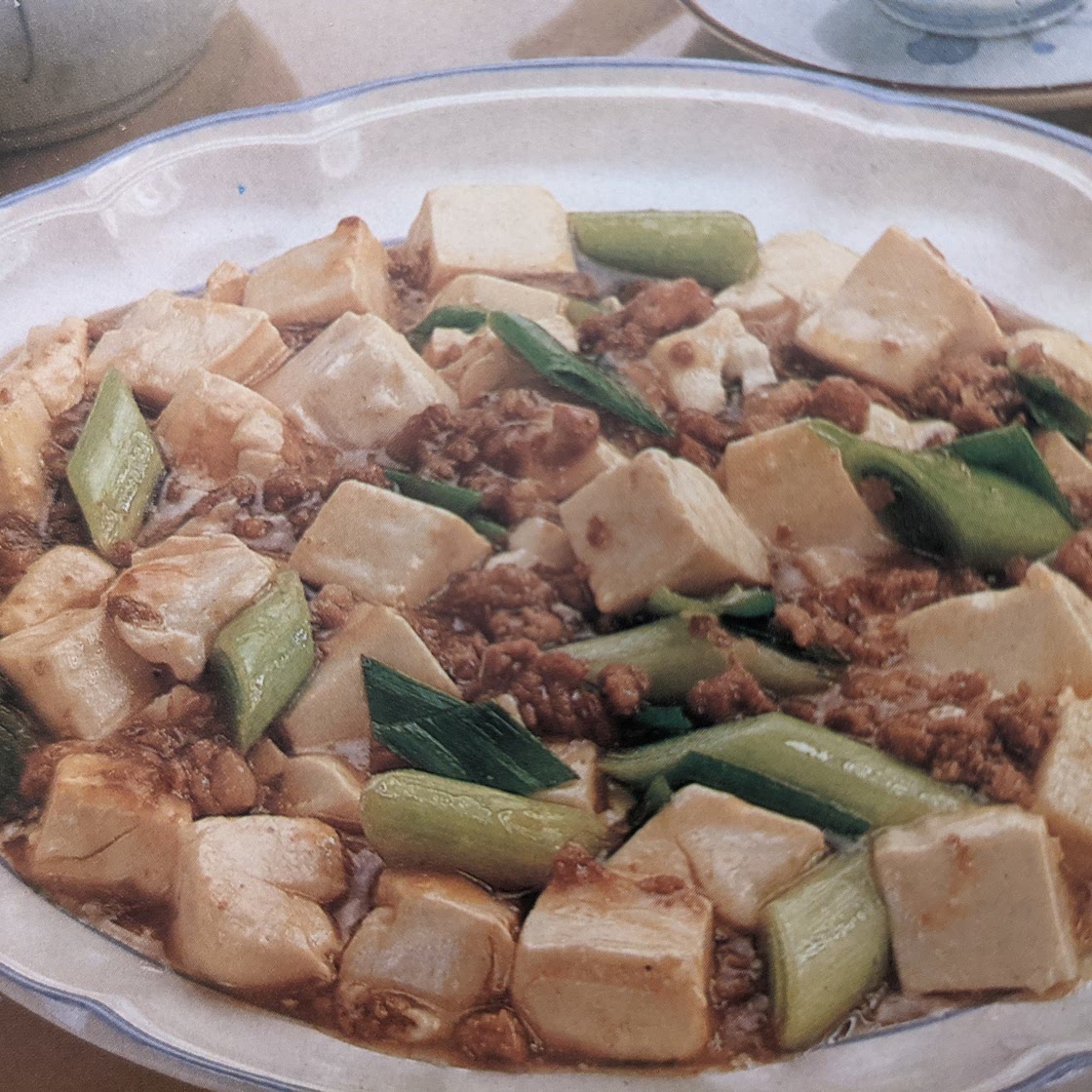Leek and Bean Curd