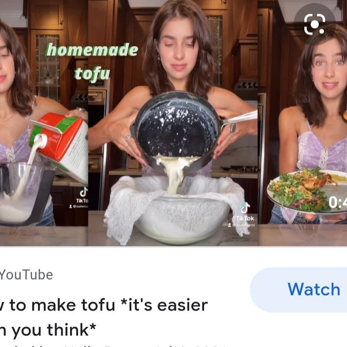 Hommade tofu