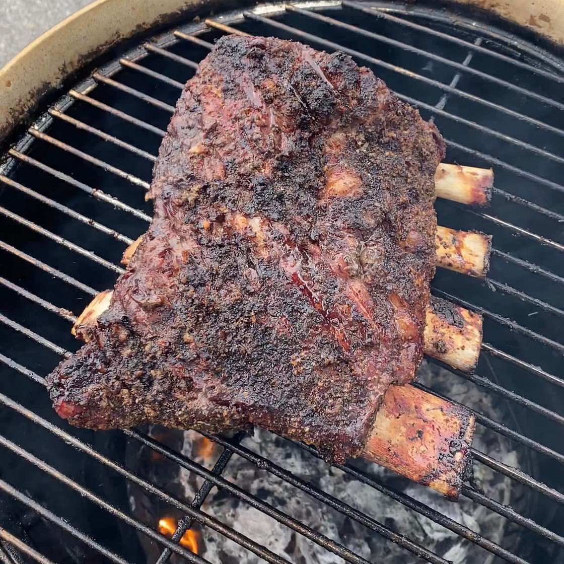 Smoked Dino Ribs (Beef Ribs) 