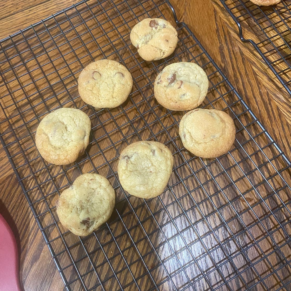 The OG Chocolate Chip Cookie