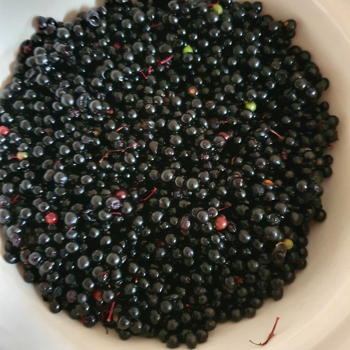 Elderberry Syrup