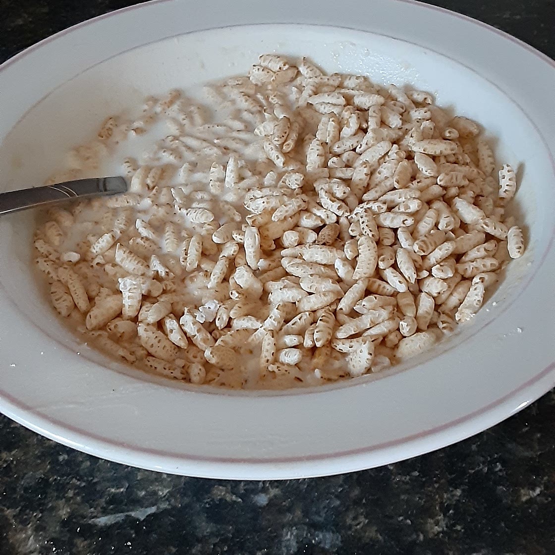 Protein Cereal from Exercise4cheatmeals