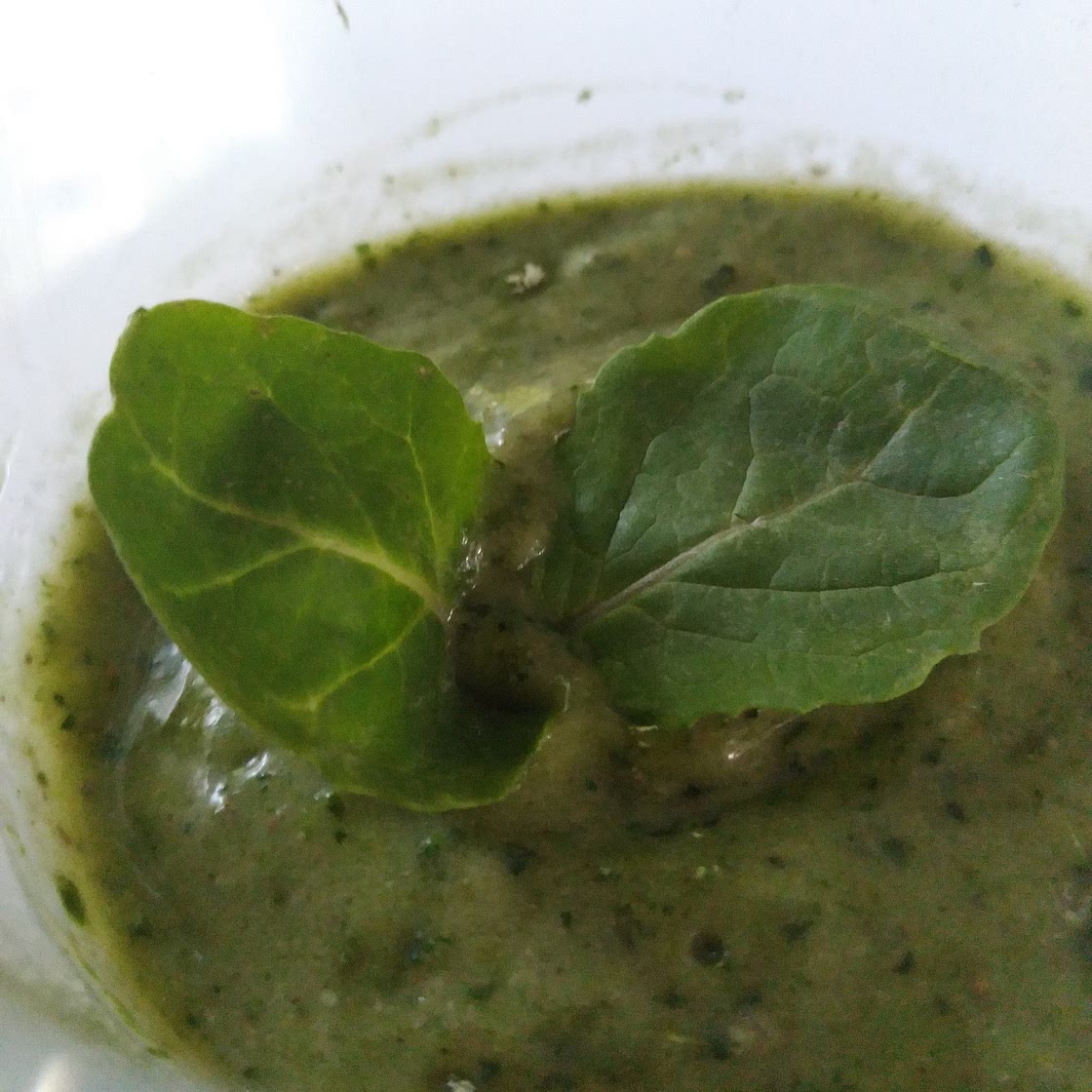 Green Smoothie