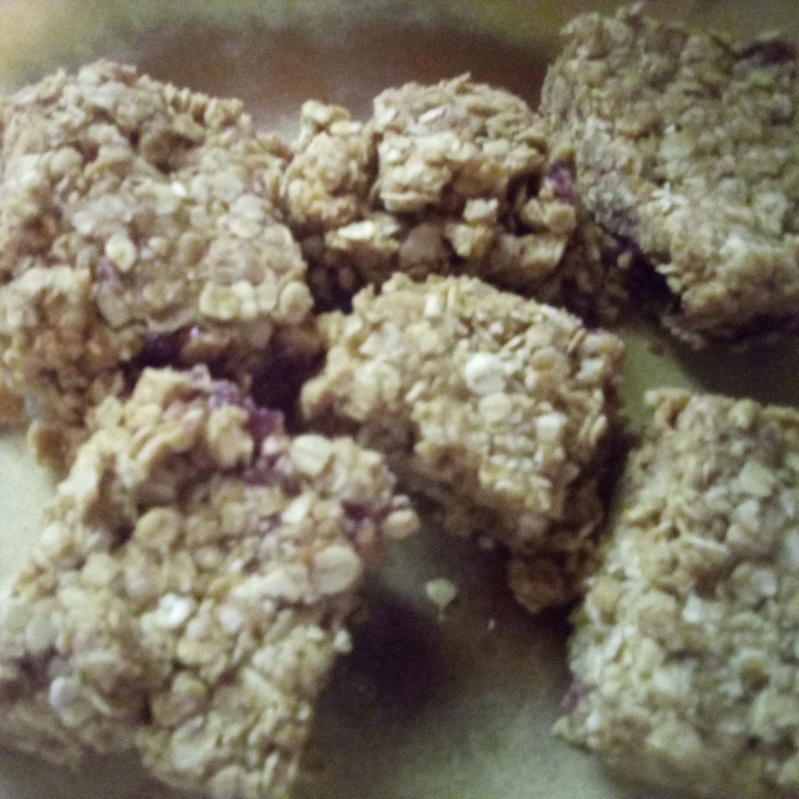 Peanut Butter Jelly Oat Bars