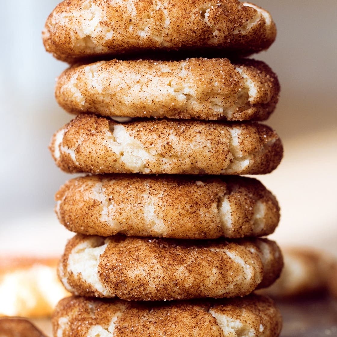 Vegan Snickerdoodles