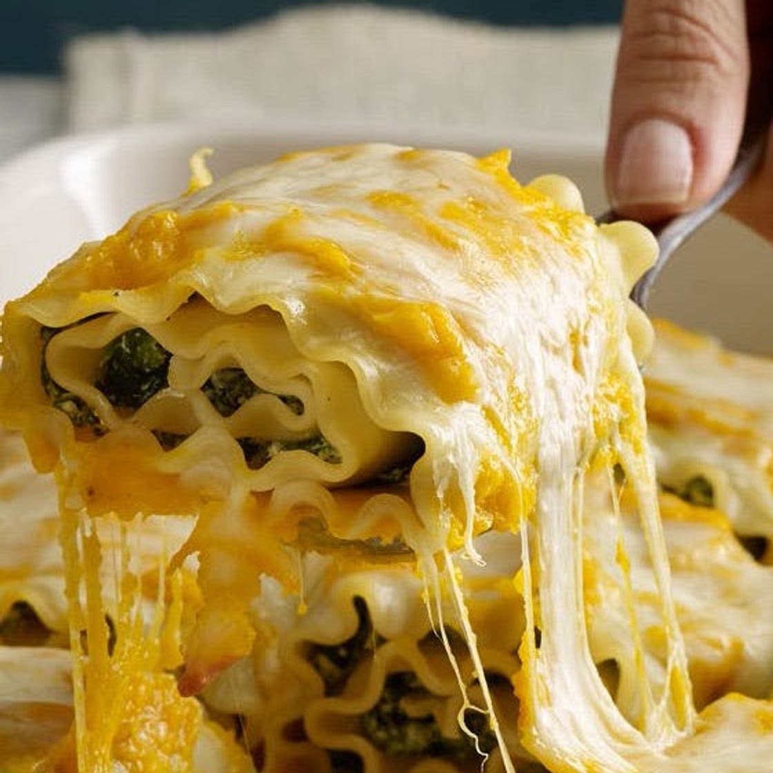 Butternut Squash Lasagna Rolls