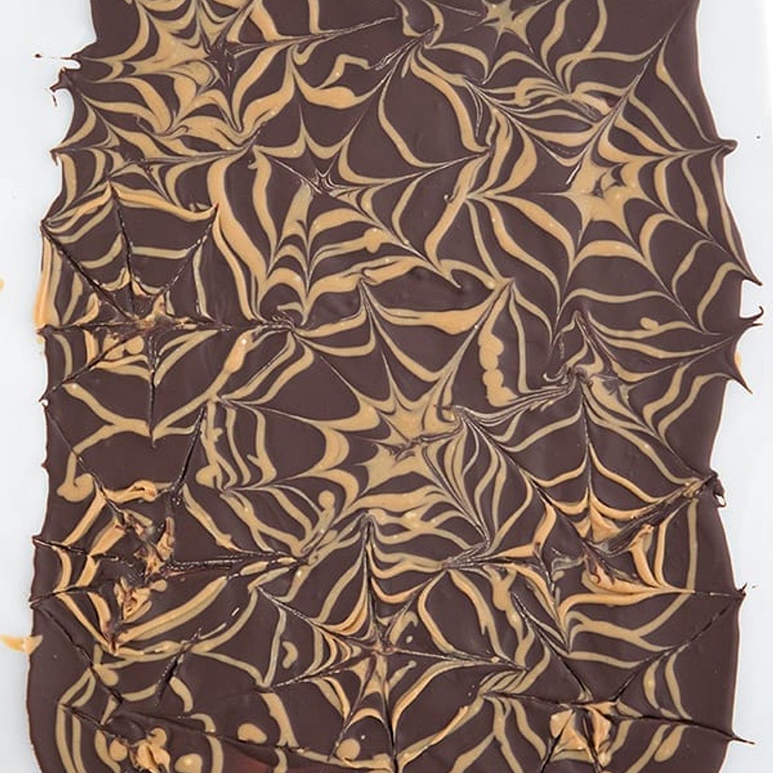 Sugar Free Spider Web Bark