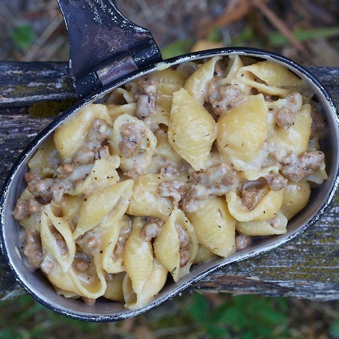 Beef Alfredo [BACKPACKING MEAL]