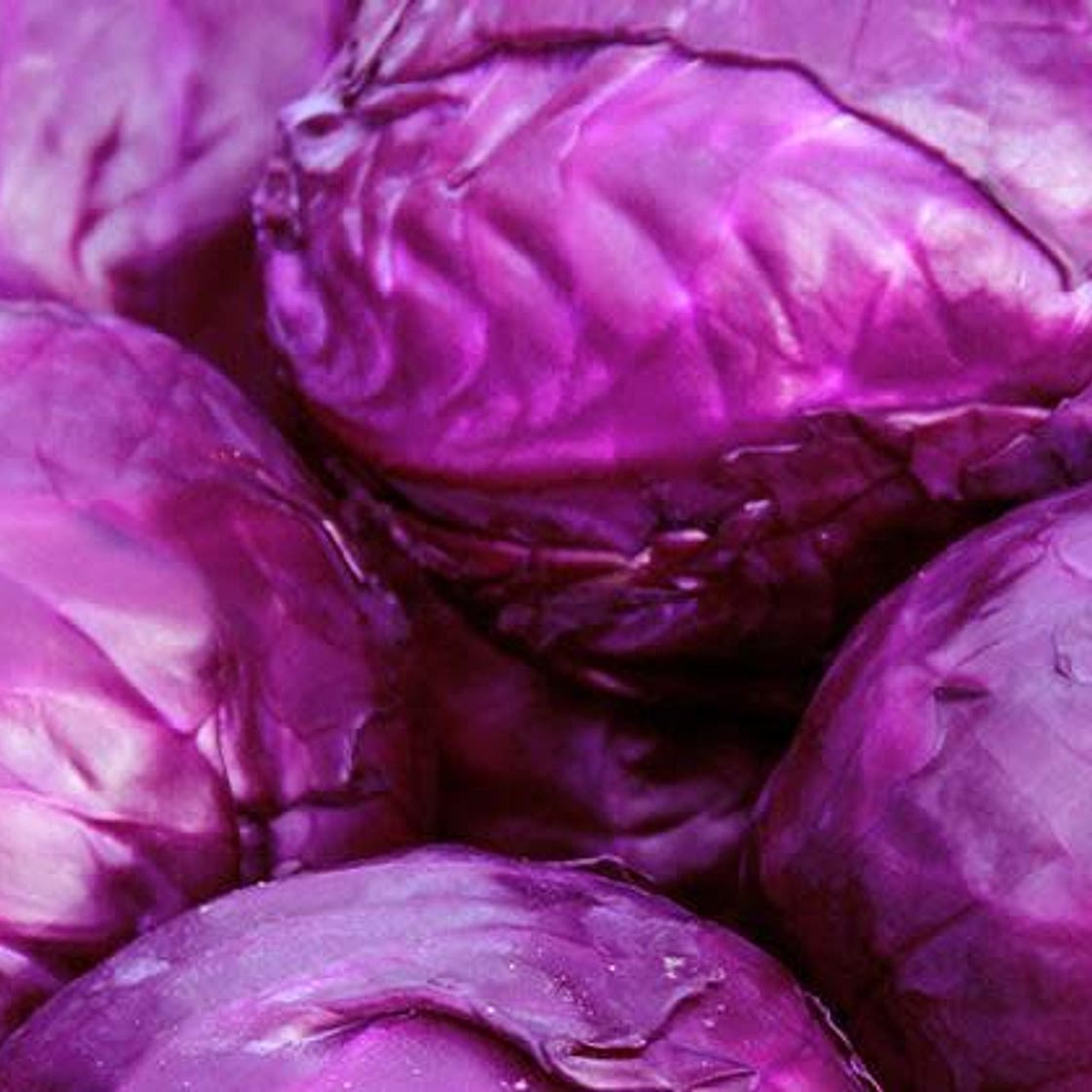 Veggy: Rotkohl Weihnachten