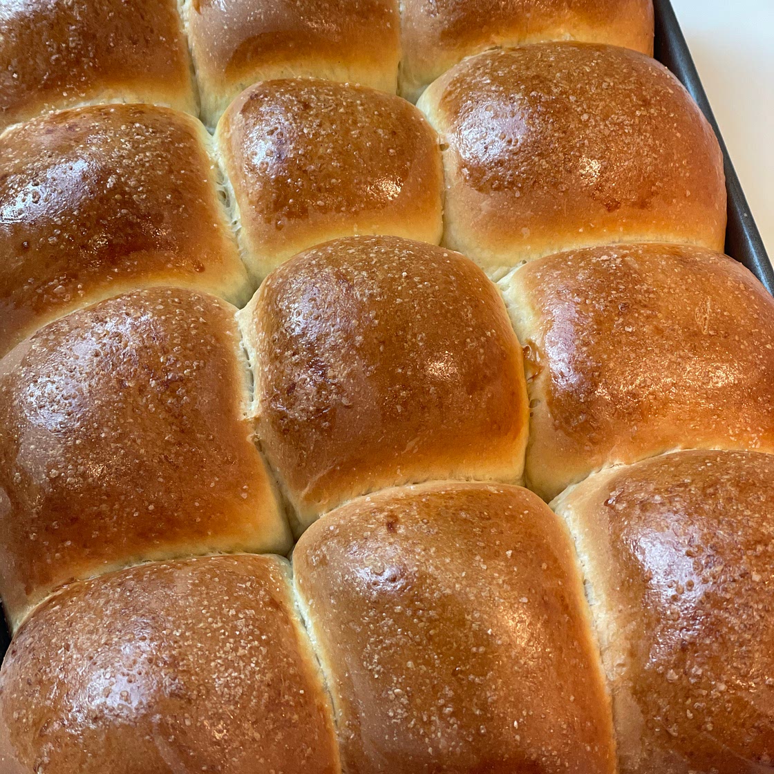 Classic Parkerhouse Dinner Roll