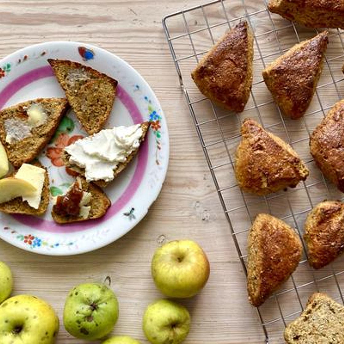 Sourdough squash scones 