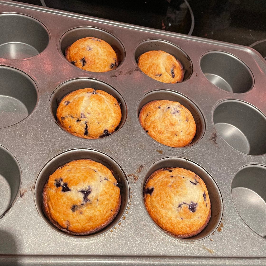 Blueberry Muffins