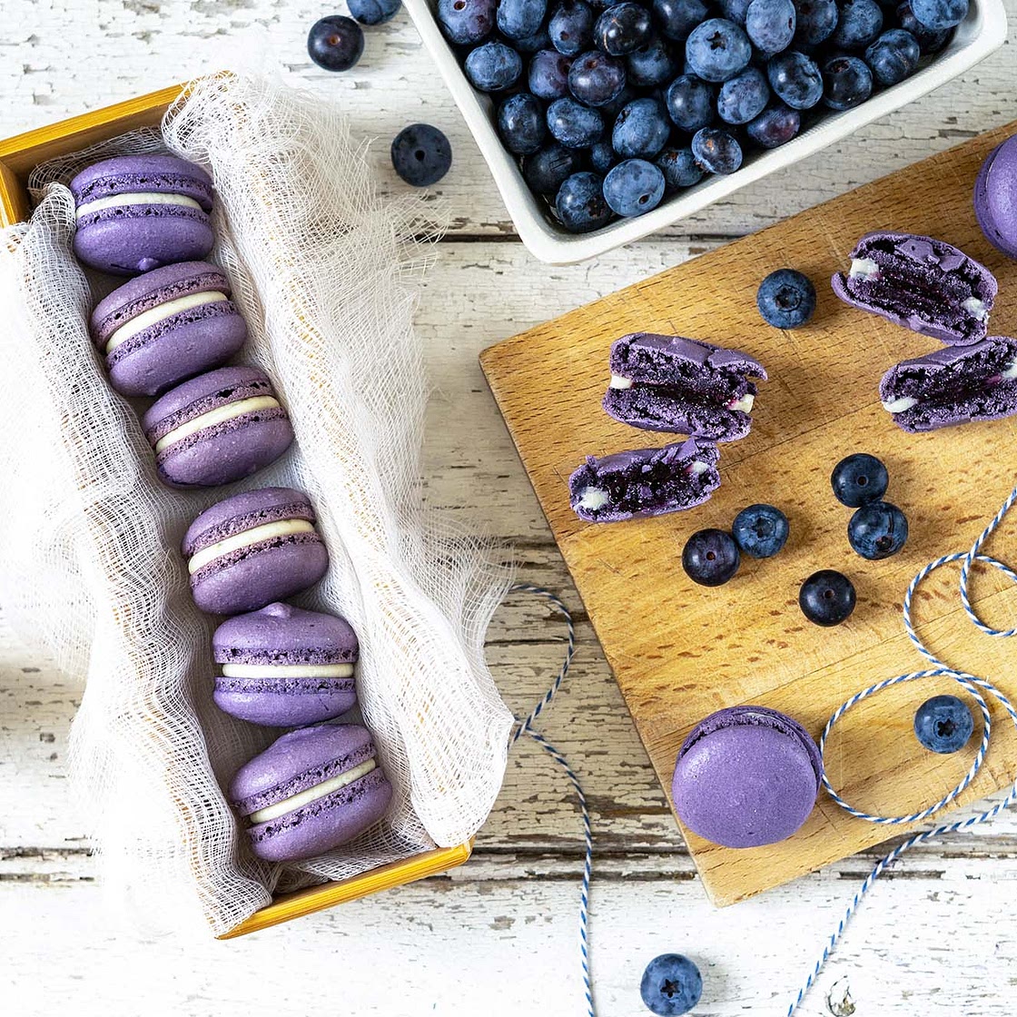 Blueberry Cheesecake Macarons