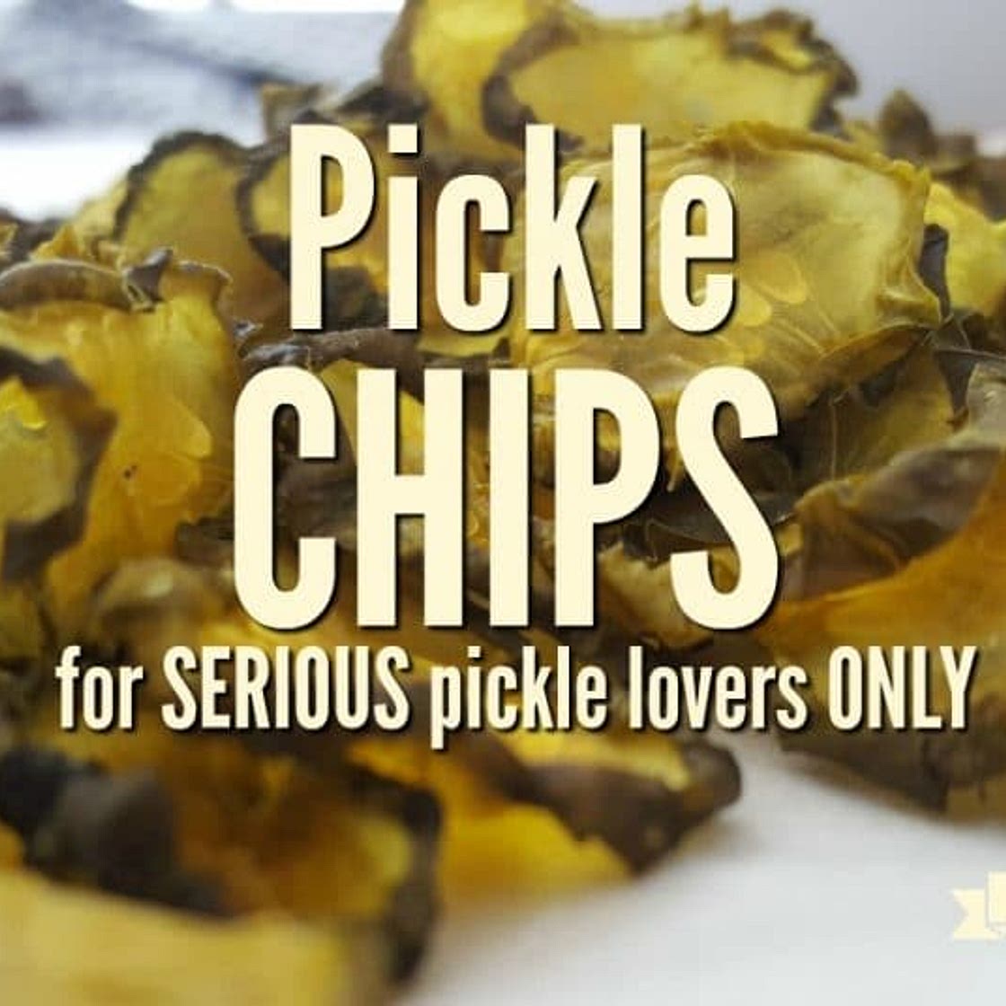 Dehydrated Pickles: For Serious Pickle Lovers ONLY | Rockin W Homestead