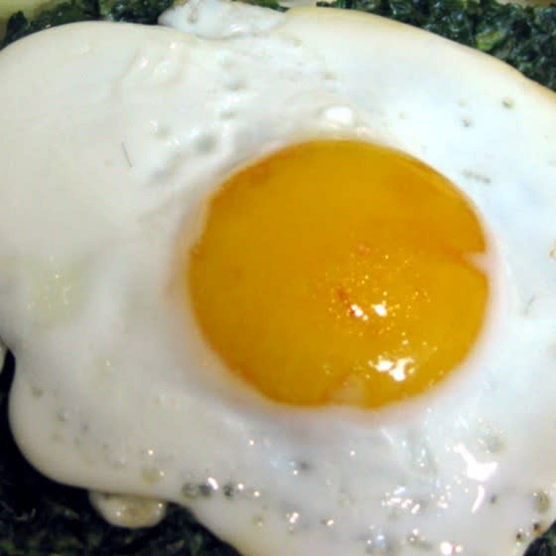 Fried egg and spinach