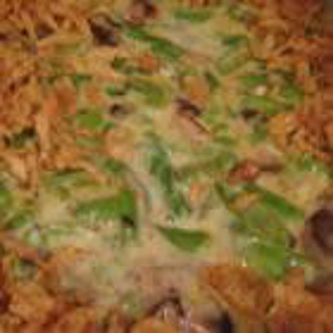 Never Enough Green Bean Casserole