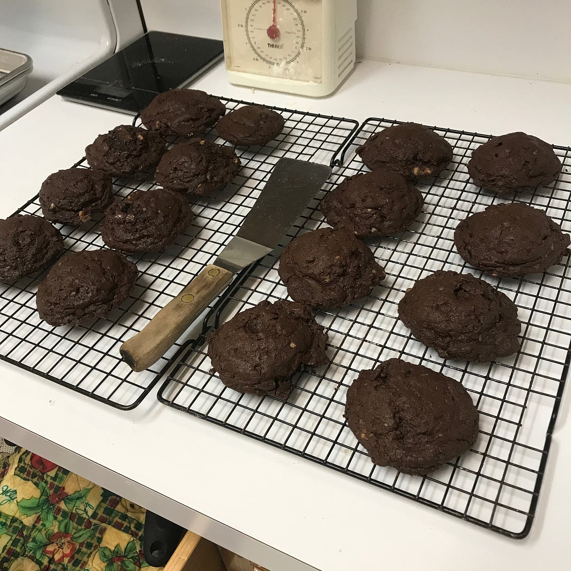 Chocolate Chocolate Chip Cookies I