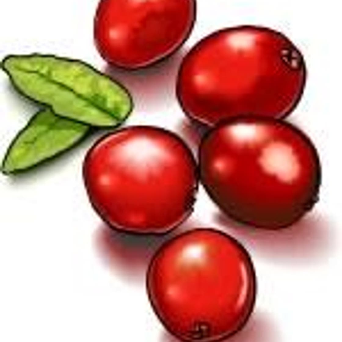 Cranberry Butter