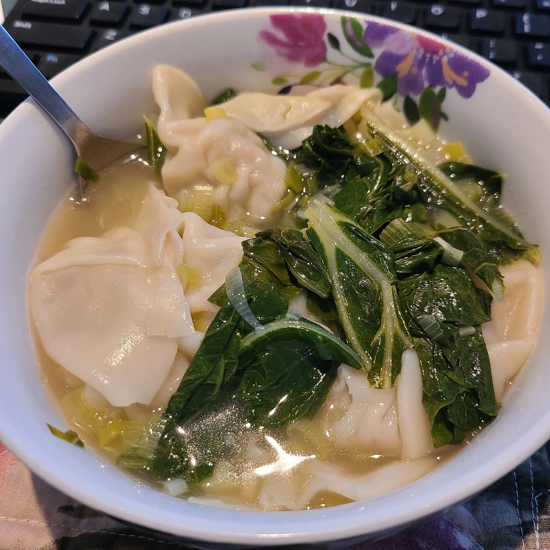15 Minute Wonton Soup