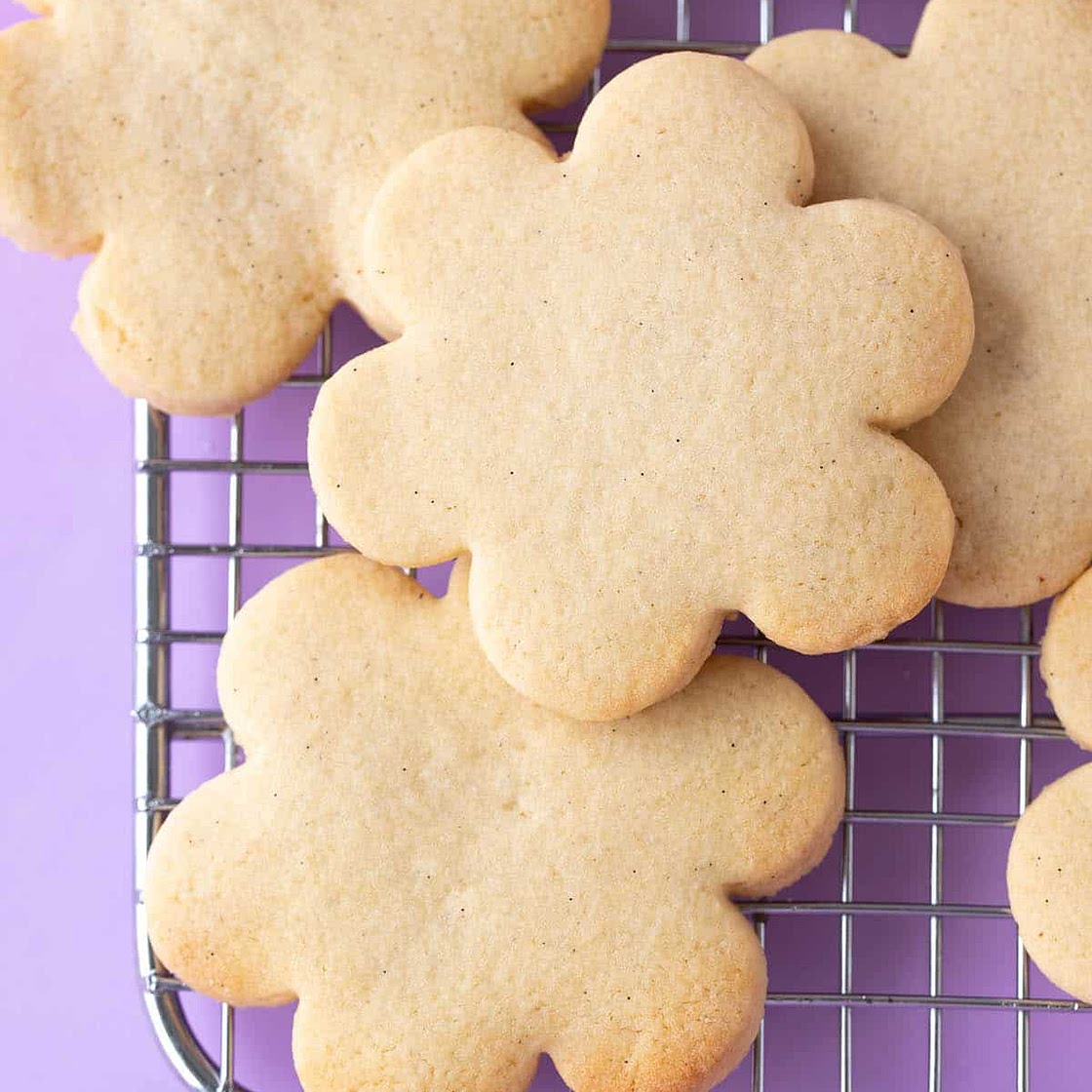Sugar Cookies