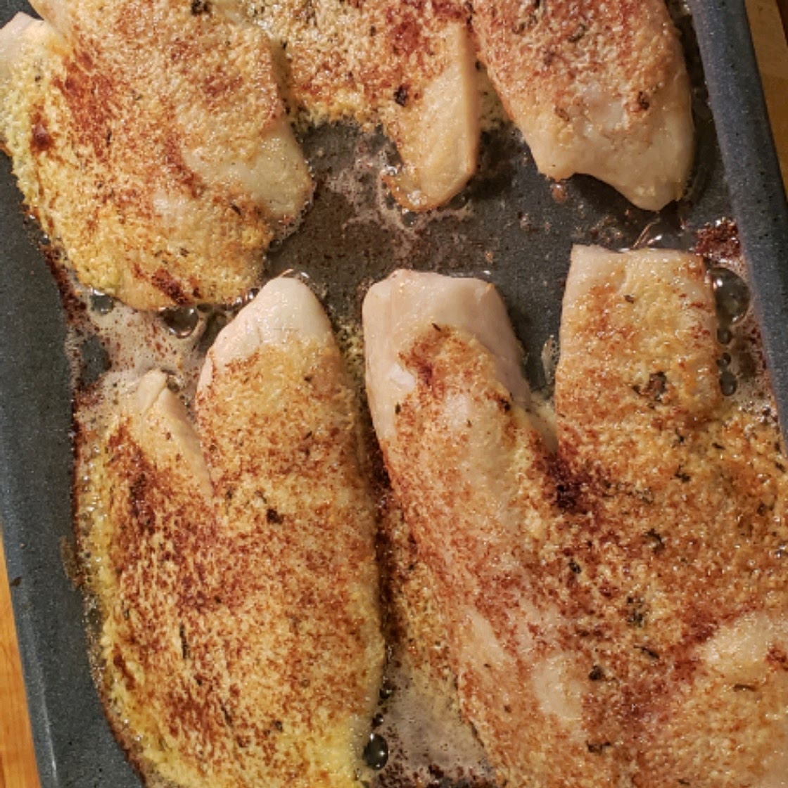 Broiled Tilapia Parmesan