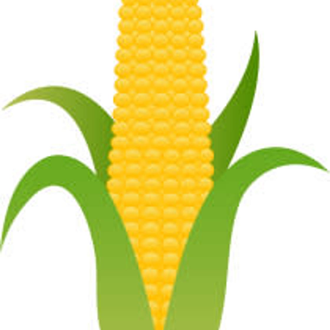 Chilled Corn Soup With Basil