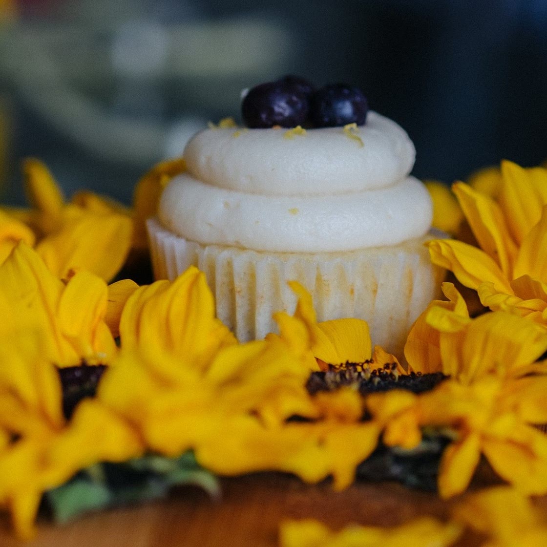 Blueberry Cupcakes