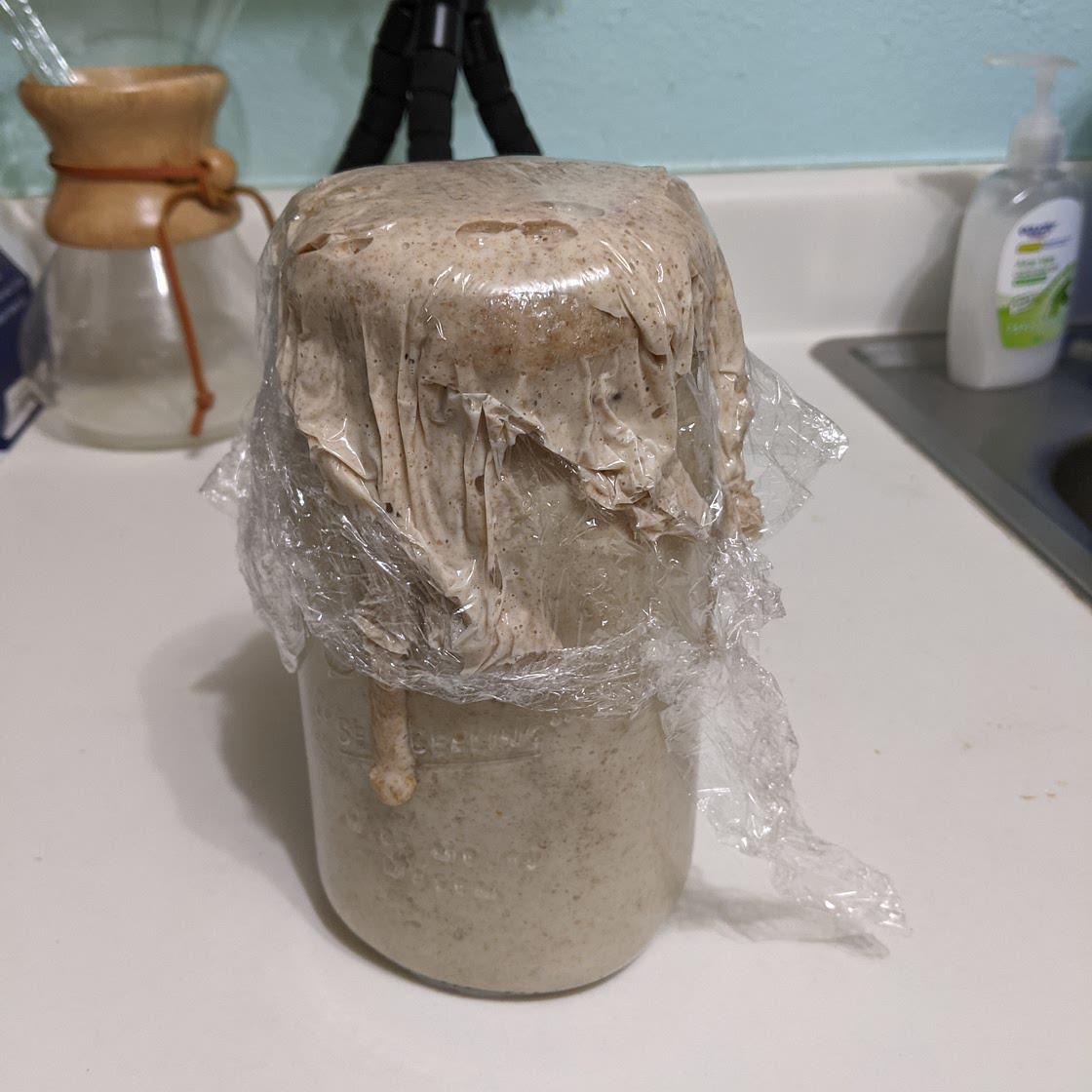 How To Make Your Own Sourdough Starter