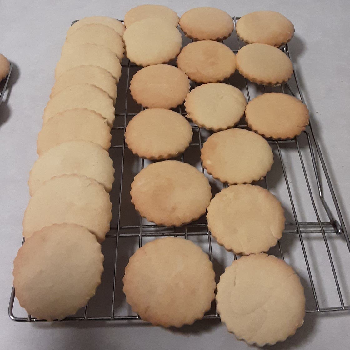 Soda biscuits